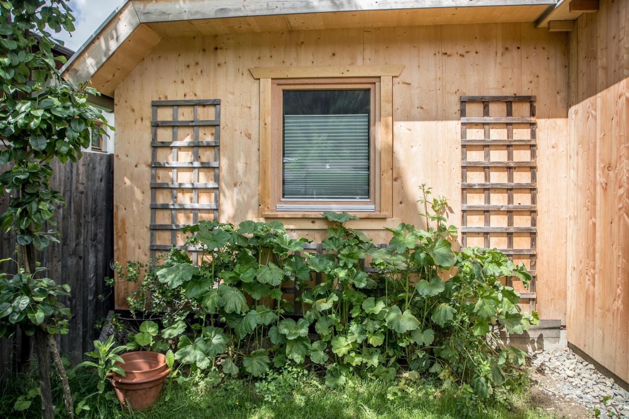 Alpegg Chalets Waidring Dış mekan fotoğraf